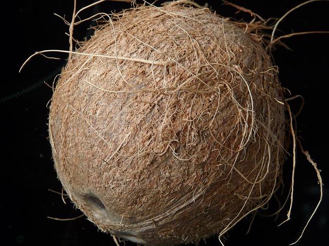 4. Kokosové vlákno jako zdravá alternativa k tradičním substrátům pro terária
