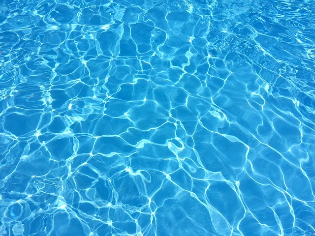 - Důležité faktory při zachování bazénu v teráriu: Materiály a povrchová úprava