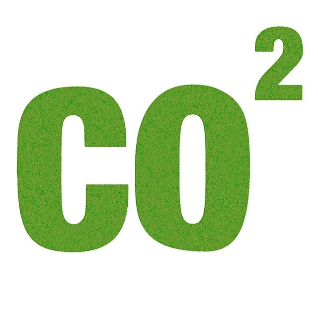 Návod pro správné využití CO2 pro rostliny v akváriu