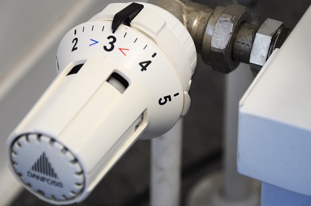 - Jak vybrat správný termostat pro vaše terárium: Doporučení a srovnání modelů