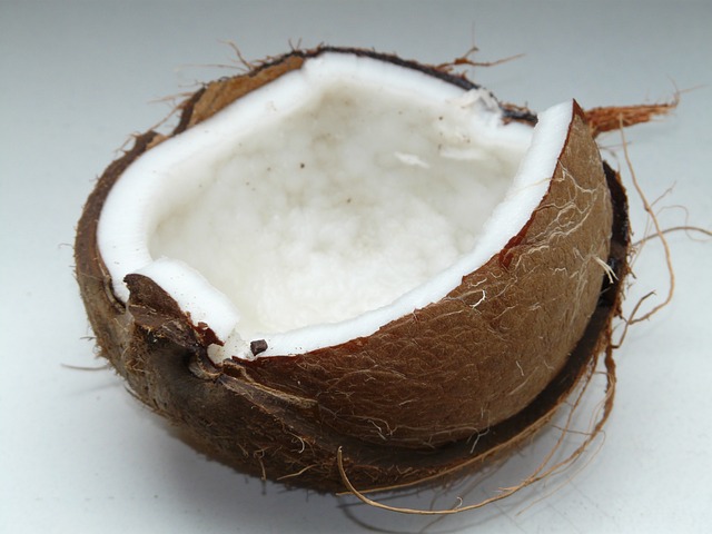2. Proč je kokosové vlákno ideální volbou pro udržování optimálního vlhkosti v teráriu