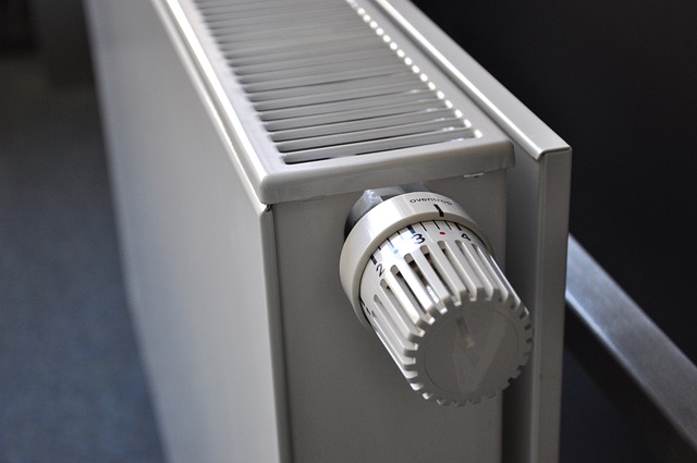 - Důležité faktory při používání termostatu pro terária