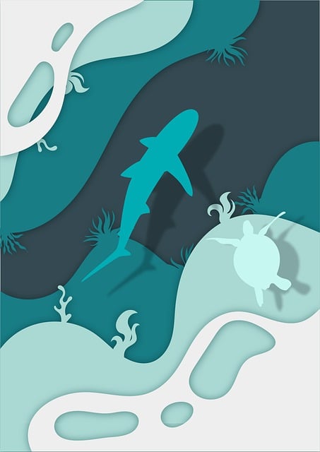 1. Mořský zralok do akvária: Unikátní zážitky z fascinujícího mořského světa