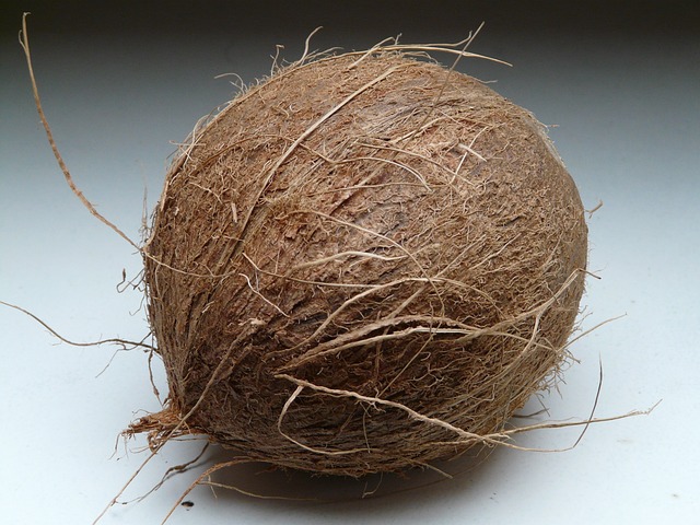 3. Jak správně používat kokosové vlákno pro vytvoření přírodního prostředí pro vaše živočichy