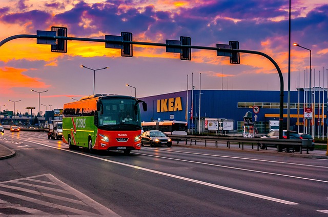 Odkud si můžete řasokouli Ikea objednat online: Doporučené internetové obchody
