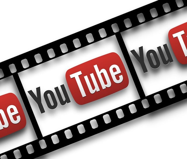 3. Osvědčené postupy pro krmení YouTube řasokoulí: Suroviny a dávkování pro optimální výživu