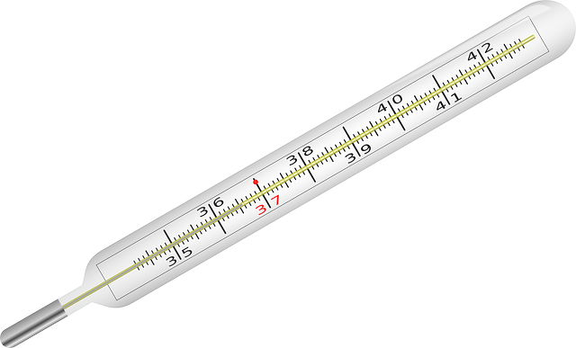 Jak použít teploměr do terarií pro přesné měření teploty